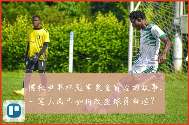 揭秘世界杯冠军奖金背后的故事：一笔人民币如何改变球员命运？