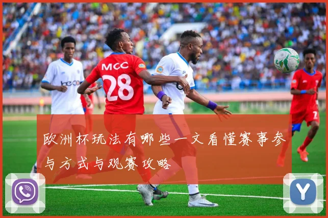 欧洲杯玩法有哪些一文看懂赛事参与方式与观赛攻略